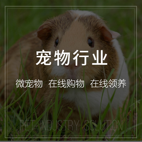 乌鲁木齐报修系统制作中的工单分配优化方案